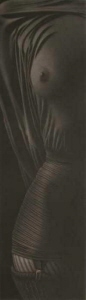 Willi Kissmer - Langer Halbakt X